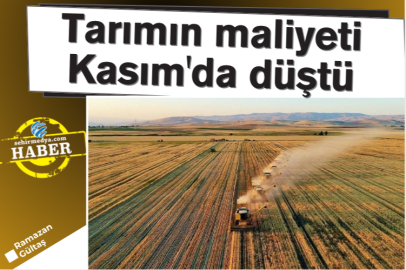 Tarımın maliyeti Kasım'da düştü