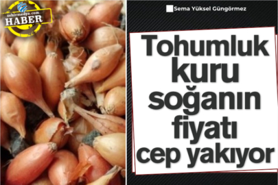 Tohumluk kuru soğanın fiyatı cep yakıyor