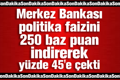 Merkez Bankası politika faizini 250 baz puan indirerek yüzde 45'e çekti