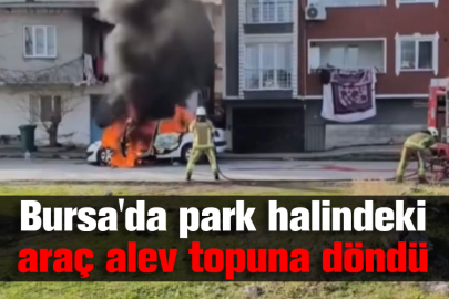 Bursa'da park halindeki araç alev topuna döndü