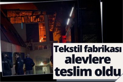 Tekstil fabrikası alevlere teslim oldu