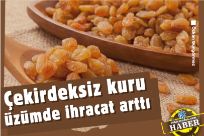 Çekirdeksiz kuru üzümde ihracat arttı